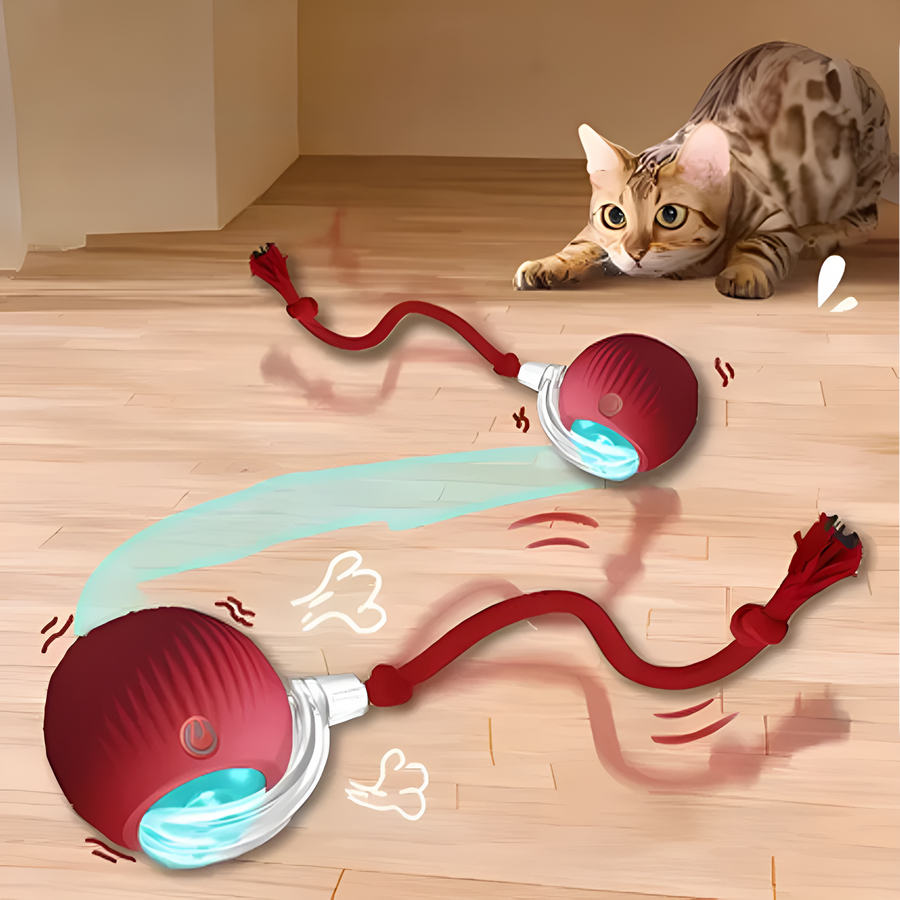 Catfri® CatBall: Automatisk & interaktiv bold til din kat