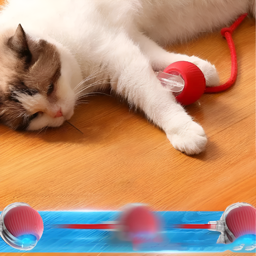Catfri® CatBall: Automatisk & interaktiv bold til din kat