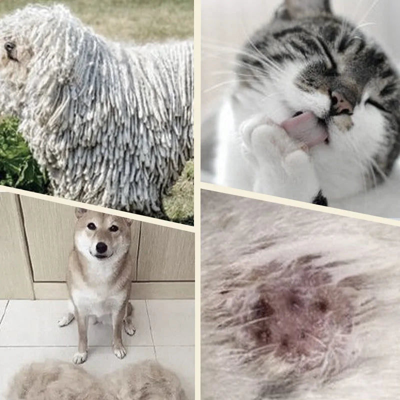 Dobbeltsidet pelskam til hunde og katte